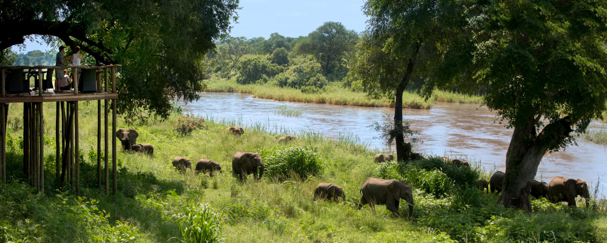 Lion Sands Narina Lodge เขตอนุรักษ์พันธุ์สัตว์ป่าซาบีแซนด์ ภายนอก รูปภาพ