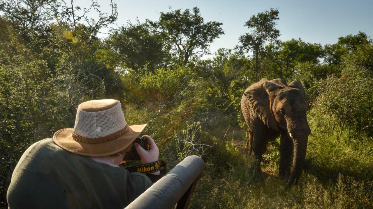 Lion Sands Narina Lodge เขตอนุรักษ์พันธุ์สัตว์ป่าซาบีแซนด์ ภายนอก รูปภาพ